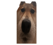 827803165