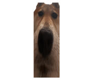 827803166