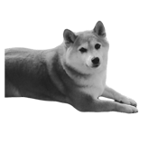 827803168