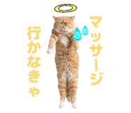 827803429