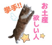 827803438