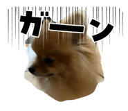 827810409