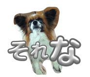 827810414