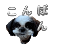 827814187