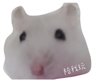 827816069