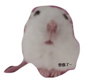 827816070