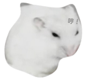 827816072