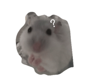 827816077