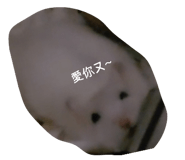 827816087