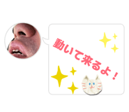827816387