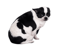827820026