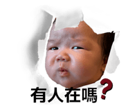 827820233