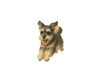 827831643