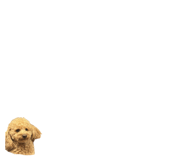 827834319