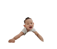 827860654