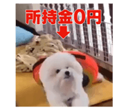 827869467