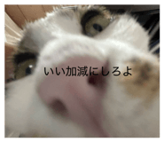 827870844