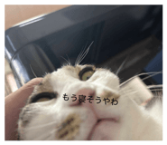 827870845