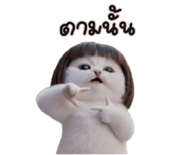 ลายที่ 7