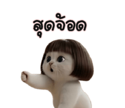 ลายที่ 11