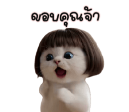 ลายที่ 13