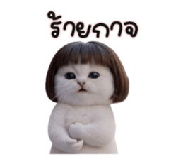 ลายที่ 17