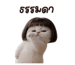 ลายที่ 19