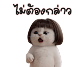 ลายที่ 23