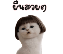 ลายที่ 25