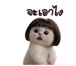 ลายที่ 29