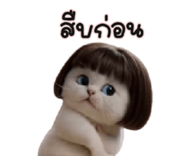 ลายที่ 31