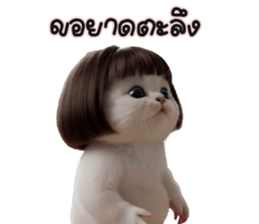 ลายที่ 33