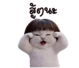 ลายที่ 37