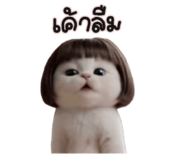 ลายที่ 39