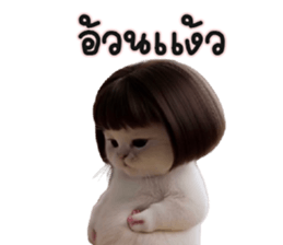 ลายที่ 41