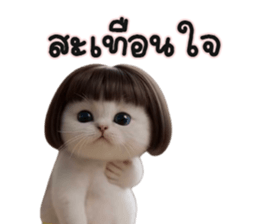 ลายที่ 43