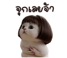 ลายที่ 45