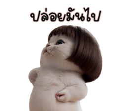 ลายที่ 47