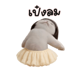 ลายที่ 51