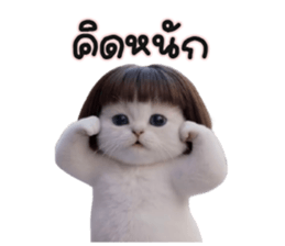 ลายที่ 53