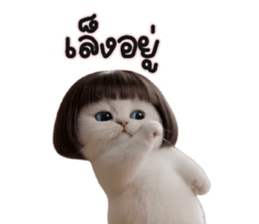 ลายที่ 57