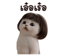 ลายที่ 61