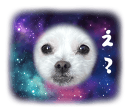 827878359