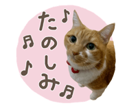 827882630