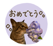 827882632