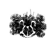 827889802