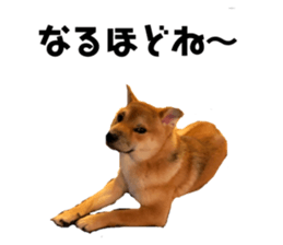 82791650