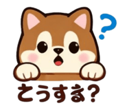 827942216