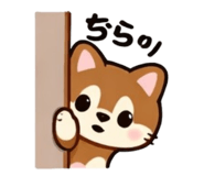 827942217