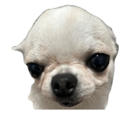 827943210